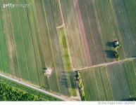 692142522 | 게티이미지코리아 | Agriculture, nature and biodiversity Royalty-Free 이미지