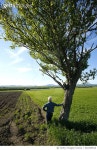 692259914 | 게티이미지코리아 | Woman overlooking farmland. Royalty-Free 이미지
