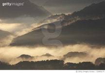 726860175 | 게티이미지코리아 | Scenic View Of Cloudscape Over Forest Royalty-Free 이미지