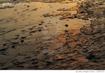 726879379 | 게티이미지코리아 | High Angle View Of Wet Sand At Beach Royalty-Free 이미지