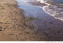 726919265 | 게티이미지코리아 | Scenic View Of Beach Royalty-Free 이미지