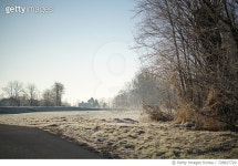 728827729 | 게티이미지코리아 | Bare Trees On Snow Covered Road Against Clear Sky Royalty-Free 이미지