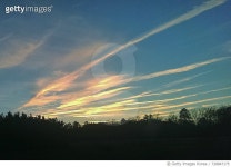 728847175 | 게티이미지코리아 | Silhouette Trees On Landscape Against Sky At Sunset Royalty-Free 이미지