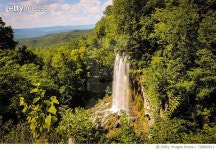 728860013 | 게티이미지코리아 | Scenic View Of Waterfall In Forest Royalty-Free 이미지