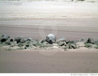 728863519 | 게티이미지코리아 | Close-Up Of Pebbles On Beach Royalty-Free 이미지