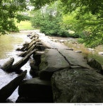 728868073 | 게티이미지코리아 | Scenic View Of Rocks In Forest Royalty-Free 이미지