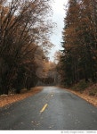 728895181 | 게티이미지코리아 | Road Amidst Trees Against Sky During Autumn Royalty-Free 이미지