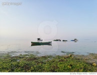 728920013 | 게티이미지코리아 | Boats Moored At Shore Royalty-Free 이미지