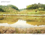 728935663 | 게티이미지코리아 | Reflection Of Trees In Lake Against Sky Royalty-Free 이미지