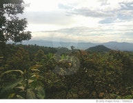 730206215 | 게티이미지코리아 | Plants Growing In Farm Against Sky Royalty-Free 이미지