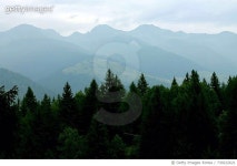 730222621 | 게티이미지코리아 | Scenic View Of Trees And Mountains Against Sky Royalty-Free 이미지
