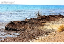 730226837 | 게티이미지코리아 | Scenic View Of Sea Against Clear Sky Royalty-Free 이미지