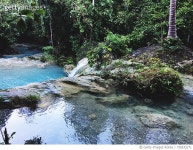 730233171 | 게티이미지코리아 | Scenic View Of Waterfall In Forest Royalty-Free 이미지