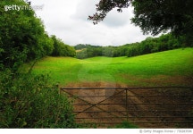 730283509 | 게티이미지코리아 | Scenic View Of Field Against Sky Royalty-Free 이미지