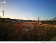 730287851 | 게티이미지코리아 | Scenic View Of Field Against Clear Blue Sky Royalty-Free 이미지