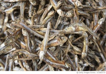 673883770 | 게티이미지코리아 | Small dried fish Royalty-Free 이미지