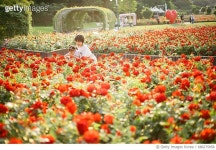 686275858 | 게티이미지코리아 | Happy Mother playing with daughter in park Royalty-Free 이미지