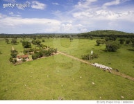 688869364 | 게티이미지코리아 | Aerial view of cowboys herding cattle - Goias, Brazil Royalty-Free 이미지