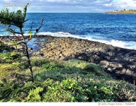 730498497 | 게티이미지코리아 | World Oceans Day Royalty-Free 이미지