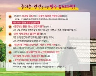 싸니까 믿으니까 - 인터파크 티켓