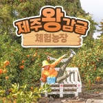 인터파크 티켓