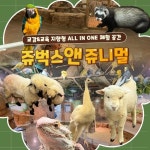 NOL 티켓 | 공연장