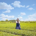 NOL 티켓 | 공연장