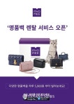 롯데렌탈 묘미, 명품 핸드백 렌털 서비스 시작 | TENANT news