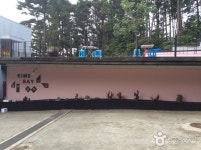 킴스베이 숙박 정보와 주변 관광 명소 및 근처 맛집 여행 정보