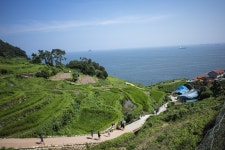 [Namhae Barae-gil] Daraengi Jiget-gil Trail ([남해 바래길] 다랭이지겟길) - Leisure - Korea travel and tourism information