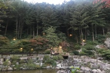 서울디아트 음식점 정보와 주변 관광 명소 및 근처 맛집 여행 정보