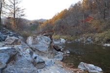 별따기캠핑장 레저스포츠 정보와 주변 관광 명소 및 근처 맛집 여행 정보