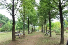 롯데하이마트 소사점 - 주변 여행 및 근처 관광 명소 - 국내 여행 정보와 관광 명소 정보