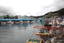 새천년도로변 레저스포츠 정보와 주변 관광 명소 및 근처 맛집 여행 정보