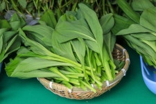 시너지와일드코리아(양평점) | Yongmunsan Wild Plants Festival (양평 용문산 산나물축제) - Festivals - Korea travel and tourism information