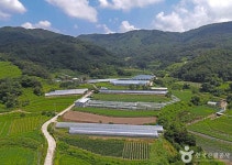 노채마을 관광 정보와 주변 관광 명소 및 근처 맛집 여행 정보