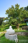 인곡리 모과나무 관광 정보와 주변 관광 명소 및 근처 맛집 여행 정보