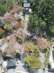 향일암(여수) 관광 정보와 주변 관광 명소 및 근처 맛집 여행 정보