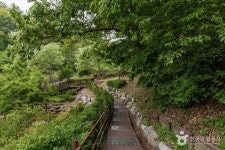 우면산자연생태공원 관광 정보와 주변 관광 명소 및 근처 맛집 여행 정보