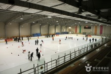 Korea University Ice Skating Rink (고려대학교 아이스링크) - Leisure - Korea travel and tourism information