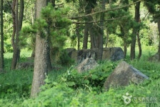 영광군 영광 성산리지석묘군 정보 및 여행 후기 제공 - 어스토리 영광군 영광 성산리지석묘군  정보 및 여행 후기 제공 - 어스토리