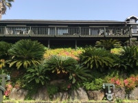 서귀포 귤림성 숙박 정보와 주변 관광 명소 및 근처 맛집 여행 정보