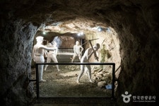  버스  남도으뜸  신안 퍼플 섬   목포 근대거리   나주 산림욕 (1박2일) : 인터파크투어 내륙테마