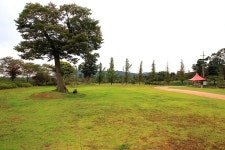 밀리앤코카페 - 주변 여행 및 근처 관광 명소 - 국내 여행 정보와 관광 명소 정보