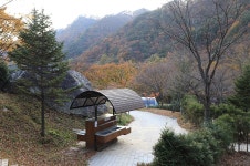 금대자동차야영장 레저스포츠 정보와 주변 관광 명소 및 근처 맛집 여행 정보
