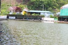 밤골캠핑장 - 주변 여행 및 근처 관광 명소 - 국내 여행 정보와 관광 명소 정보