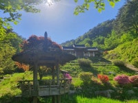 평창문화관광 > 음식/숙박/쇼핑 > 잘래요 평창문화관광  &gt; 음식/숙박/쇼핑 &gt; 잘래요