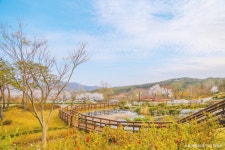 데미샘큰바위펜션 - 주변 여행 및 근처 관광 명소 - 국내 여행 정보와 관광 명소 정보