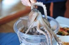 낙지한마당 음식점 정보와 주변 관광 명소 및 근처 맛집 여행 정보