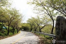 예계마을 관광 정보와 주변 관광 명소 및 근처 맛집 여행 정보